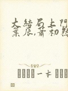 大结局上门龙婿叶辰,萧初然章节封面