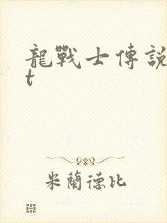 龙战士传说txt