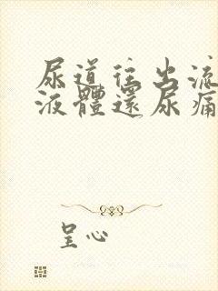 尿道往出流白色液体还尿痛封面