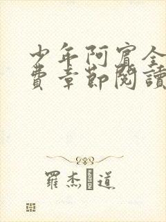 少年阿宾全文免费章节阅读