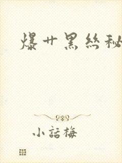 爆艹黑丝秘书