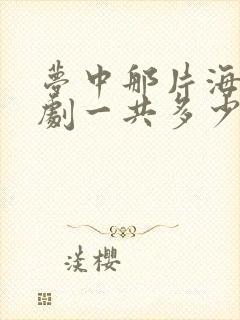 梦中那片海电视剧一共多少集