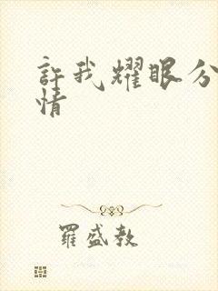 许我耀眼分集剧情