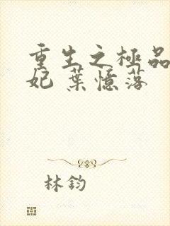 重生之极品皇子妃 叶忆落