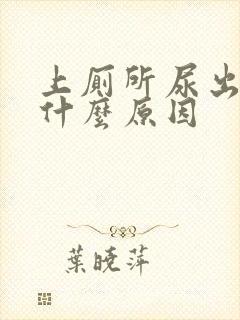 上厕所尿出血是什么原因