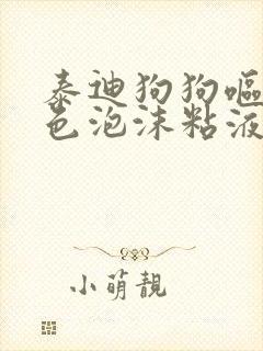 泰迪狗狗呕吐白色泡沫粘液