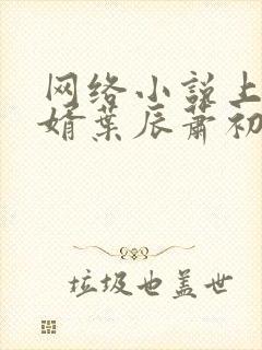 网络小说上门龙婿叶辰萧初然