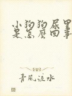 小狗狗尿里有血是怎么回事