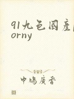 91九色国产porny