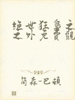 绝世狂枭之九天之外免费观看封面