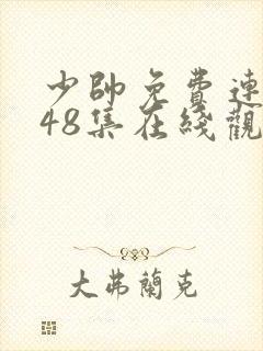 少帅免费连续剧48集在线观看