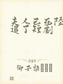 夫人已死陆总别追了短剧封面