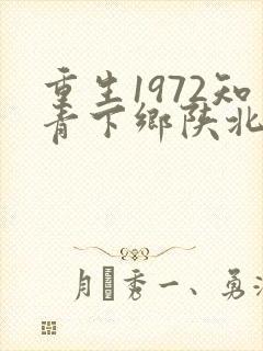 重生1972知青下乡陕北