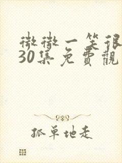 微微一笑很倾城30集免费观看高清