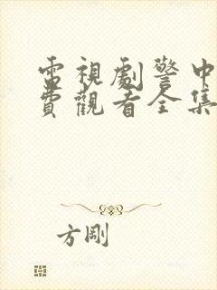 电视剧警中警免费观看全集封面