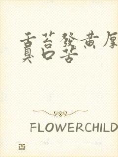 舌苔发黄厚腻口臭口苦