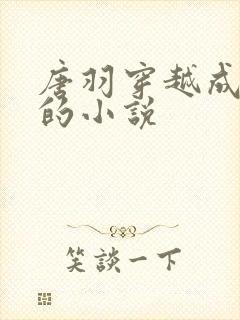 唐羽穿越成太子的小说封面