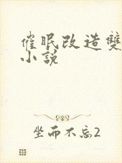 催眠改造双男主小说封面