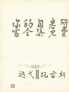 你的目光所及之处全集免费播放