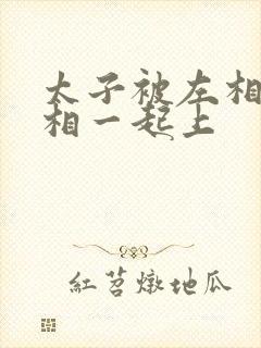 太子被左相和右相一起上