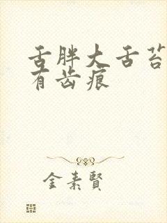 舌胖大舌苔厚黄有齿痕封面