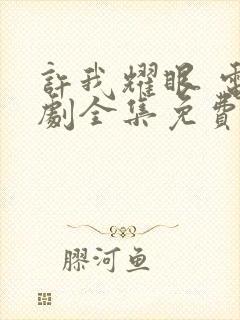 许我耀眼 电视剧全集免费观看