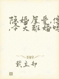 隐婚厚爱,傅总,今天离婚吗封面