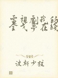 电视剧我的铁血金戈梦在线观看