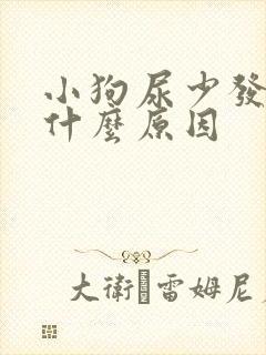 小狗尿少发黄是什么原因封面