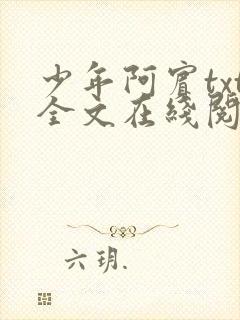 少年阿宾txt全文在线阅读封面