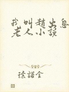 我叫赵出息关中老人小说