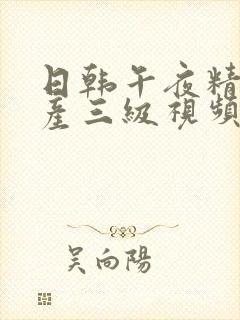 日韩午夜精品国产三级视频