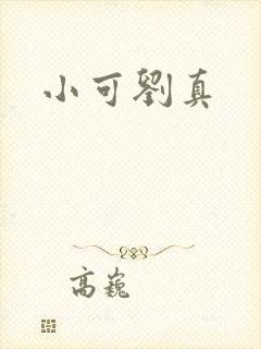小可刘真封面