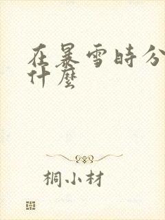 在暴雪时分讲的什么