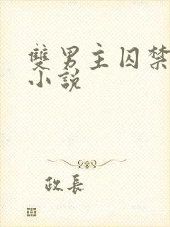 双男主囚禁高h小说