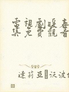 电视剧暖春26集免费观看全集