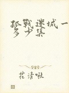 孤战迷城一共有多少集