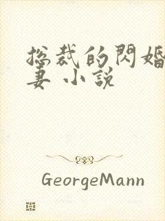 总裁的闪婚契约妻 小说封面