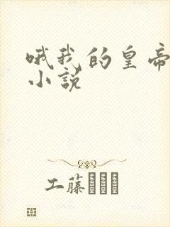 哦我的皇帝陛下小说封面