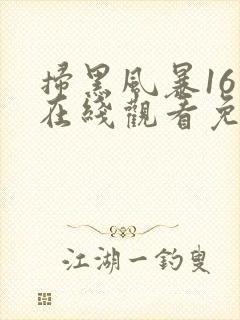 扫黑风暴16集在线观看免费完整版