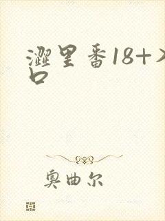 涩里番18+入口