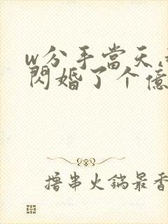 w分手当天,我闪婚了个亿万富翁》