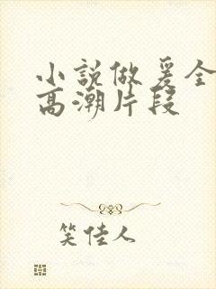 小说做爰全细节高潮片段