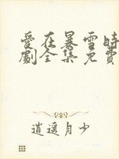 爱在暴雪时分短剧全集免费观看封面