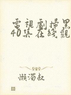 电视剧扫黑风暴40集在线观看免费完整版