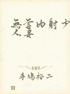 无套内射少妇 人妻