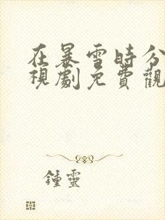 在暴雪时分 电视剧免费观看