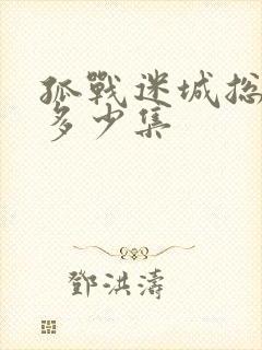 孤战迷城总共有多少集