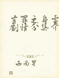 有罪之身电视剧剧情分集介绍