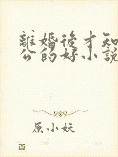 离婚后才知道老公的好小说